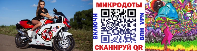 Псилоцибиновые грибы Cubensis  Кисловодск 